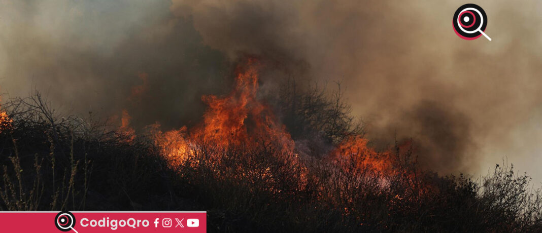 Los incendios forestales en Los Ángeles han dejado 24 personas muertas. Foto: Agencia EFE