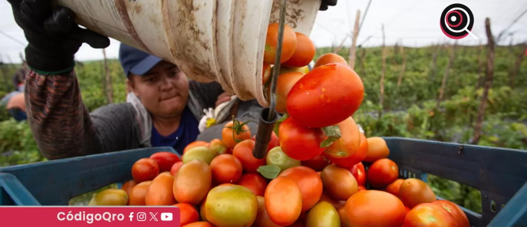 El PIB de México creció 1.5% en 2024, pero cayó 0-6% en el cuatro trimestre, su primera contracción a tasa trimestral en los últimos tres años, según cifras del Inegi. Foto: Agencia EFE