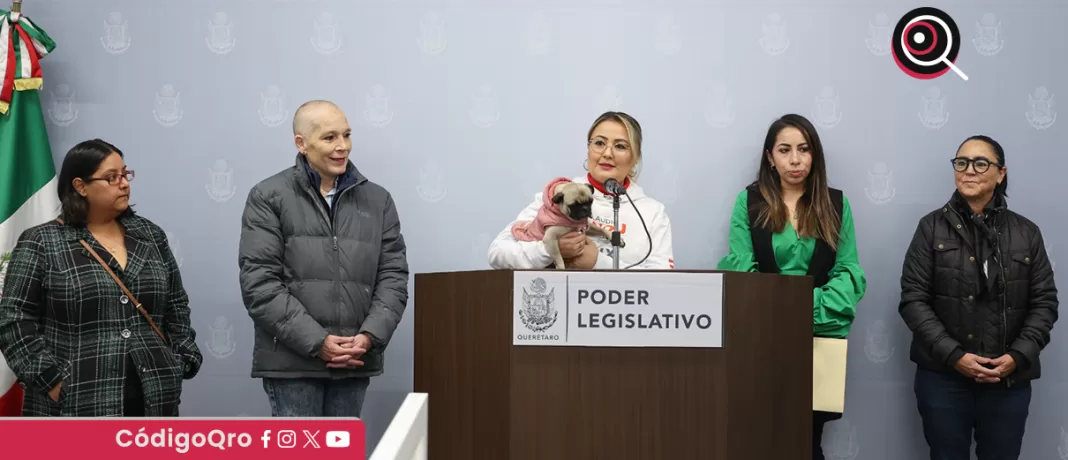 Las diputadas Claudia Díaz Gayou y Tere Calzada presentaron iniciativa que propone la creación de una Subprocuraduría de Protección Animal, con el objetivo de combatir el maltrato animal y promover la cultura del respeto. Foto: Especial