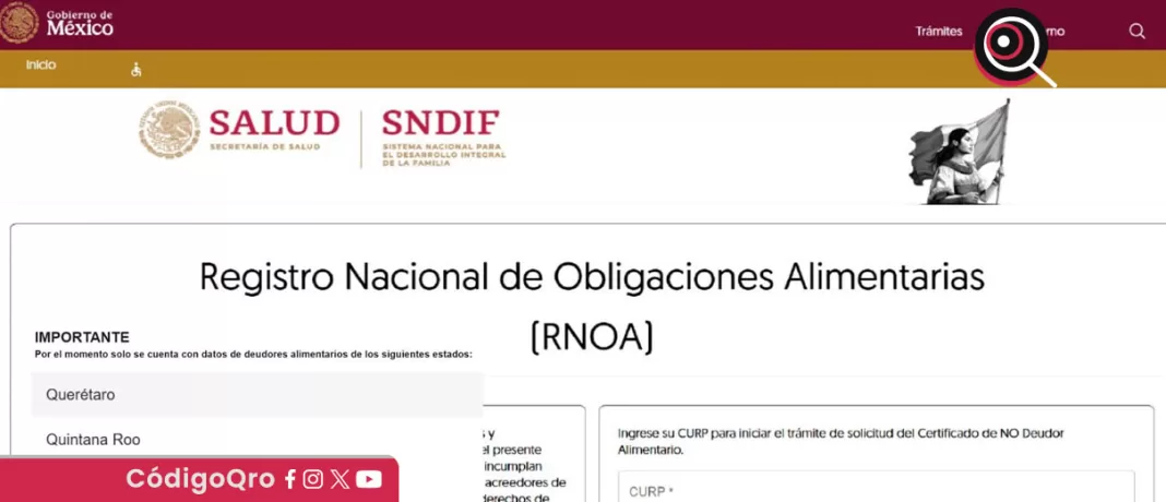 El Registro Nacional de Obligaciones Alimentarias tiene entre sus funciones la emisión de Certificados de No Deudor Alimentario