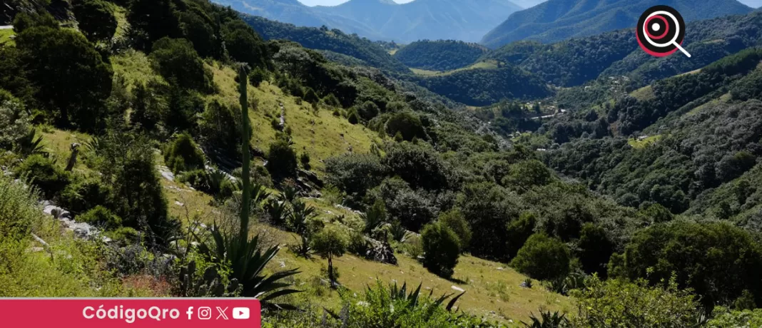 La Sedesu recordó que uno de los ejes rectores del Plan Estatal de Desarrollo 2021-2027 es Medio ambiente e infraestructura sostenible / Foto: Archivo CódigoQro