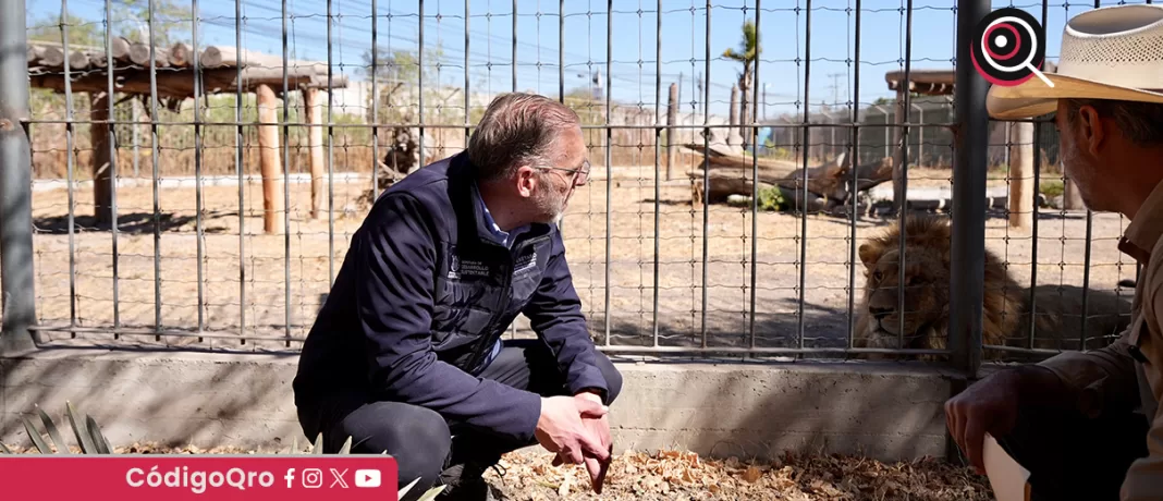 Autoridades estatales y municipales supervisaron el parque zoológico Wamerú. Foto: Especial