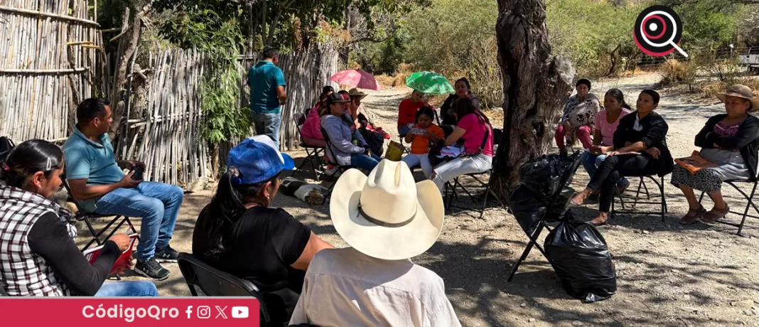 El DIF estatal impulsa el apoyo a comunidades a través de programas autosustentables y de autoconsumo, para reactivar su economía y mejorar la calidad de vida de sus habitantes. Foto: Especial