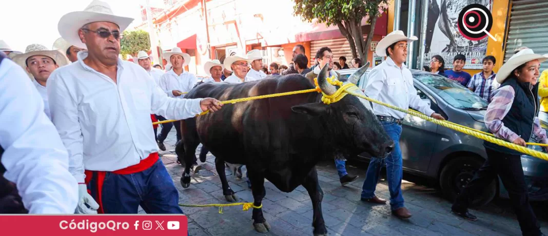 Las calles de El Pueblito fueron el escenario del tradicional Paseo del Buey. Foto: Especial