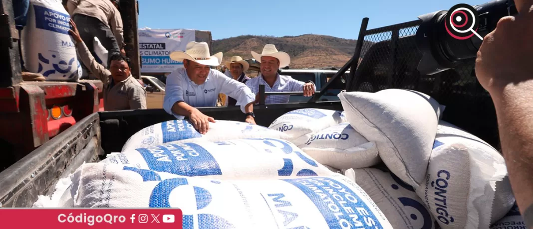 Con el objetivo de apoyar a los productores que vieron mermada su cosecha por la sequía prolongada, SEDEA entregó maíz para consumo humano en Huimilpan. Foto: Especial