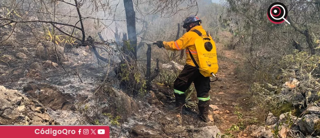 Personal de Protección Civil y brigadistas atienden un incendio forestal en la comunidad de La Tinaja. Foto: Especial