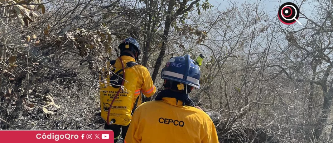 Extinguen incendio forestal en la comunidad de La Tinaja. Foto: Especial